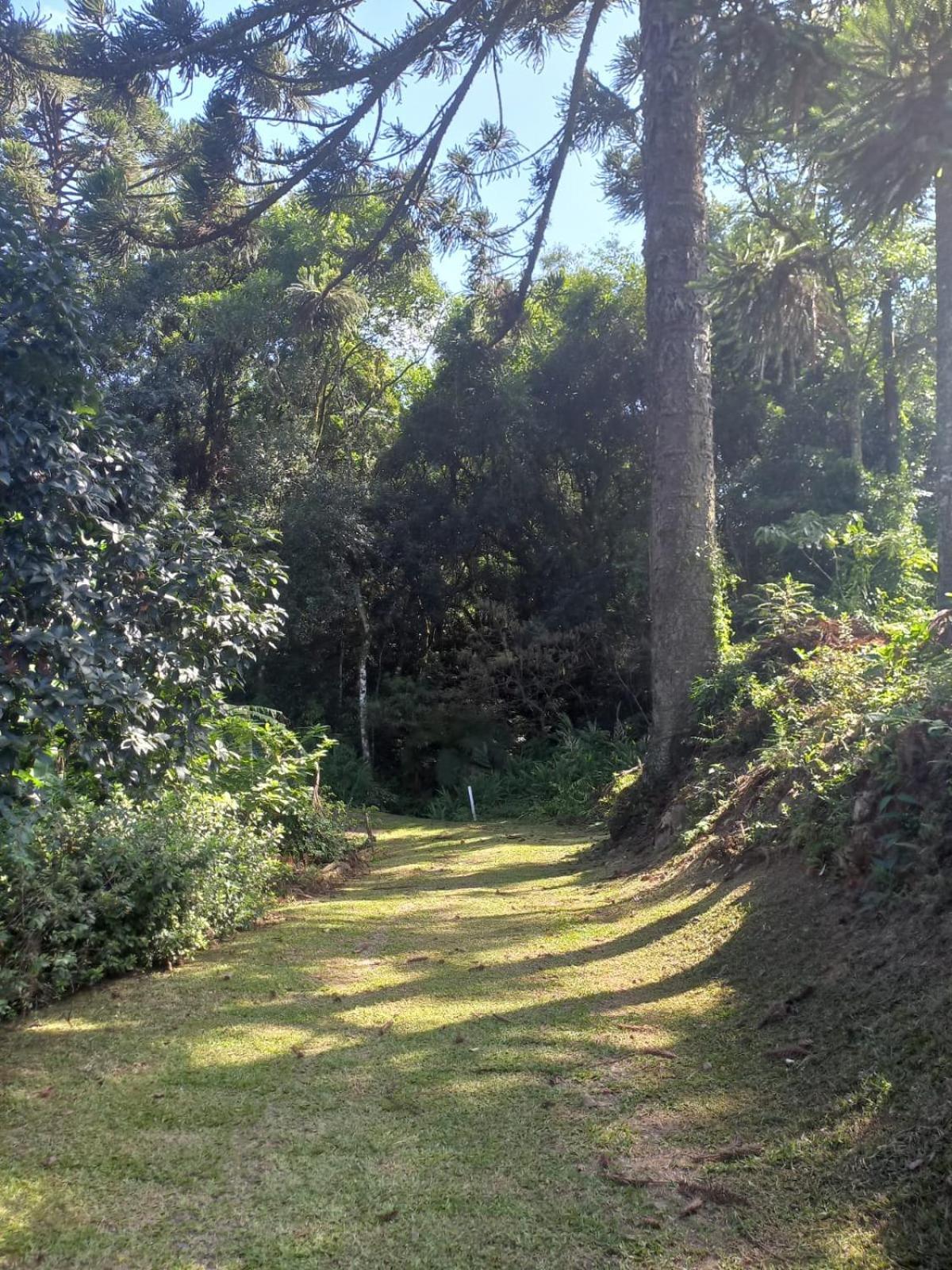 Villa Casa Ampla E Aconchegante Em Gramado Exterior foto