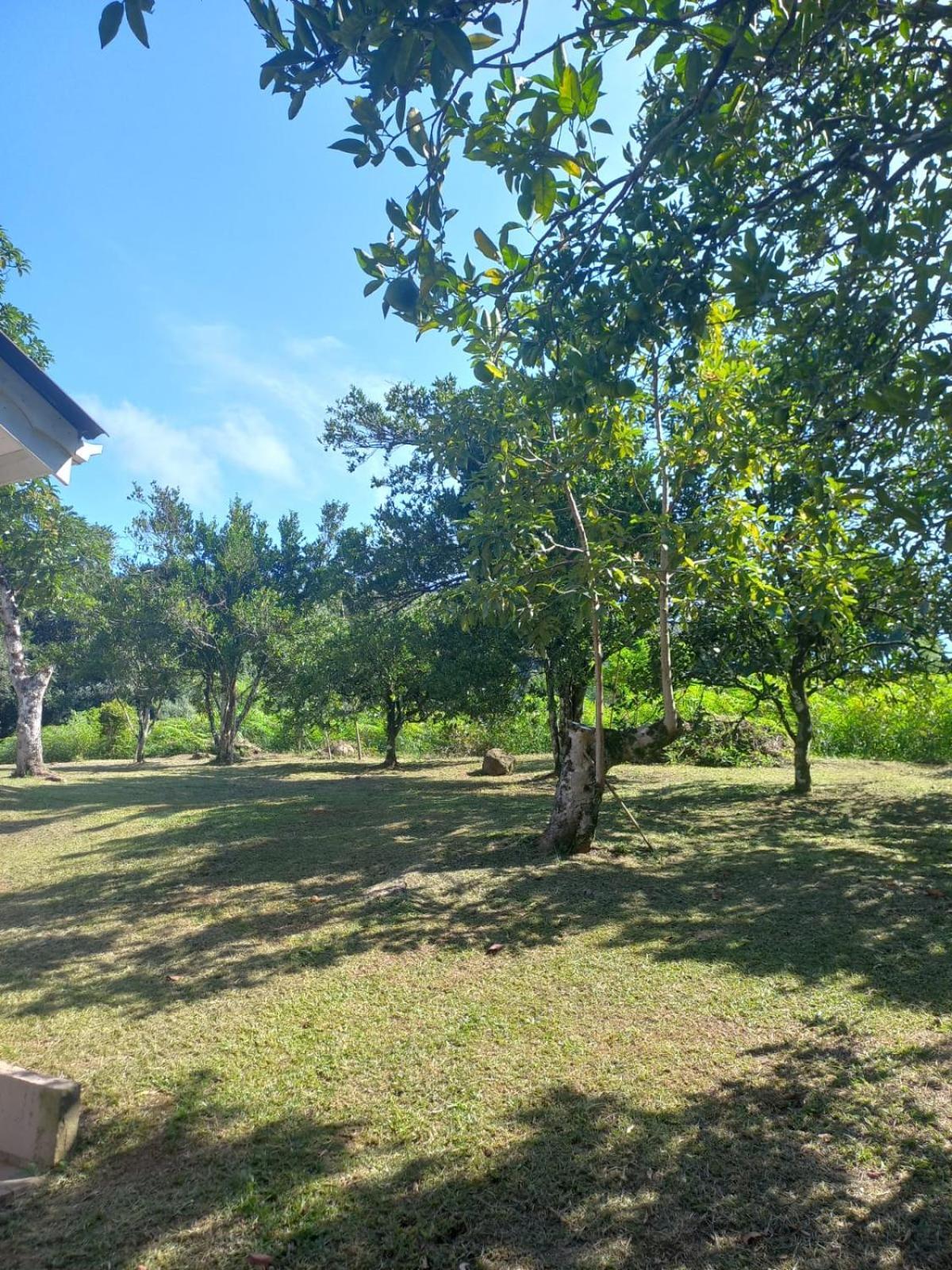 Villa Casa Ampla E Aconchegante Em Gramado Exterior foto